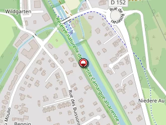 Carte de Grunenwald Georges à Kembs