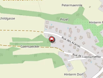 Carte de Chevrot Thierry à Bruebach