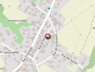 Carte de Vert Passion à Steinbrunn-le-haut