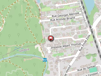 Carte de Juif Denis à Belfort