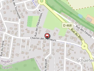 Carte de Petrel Guy à Kembs