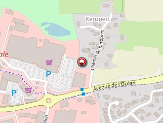 Carte de Dekra Aca (auto Contrôle Alréen) à Auray