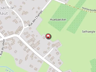 Carte de Landwerlin Dominique à Traubach-le-haut