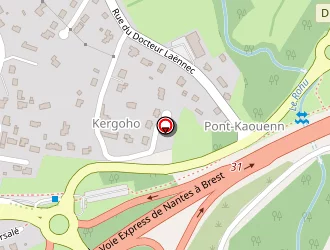 Carte de Taxis Plescop à Pluneret