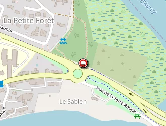 Carte de Allo Alta Taxi à Auray