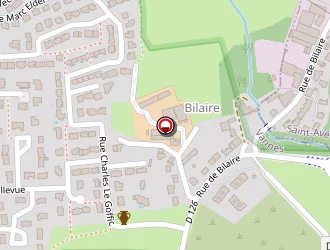 Carte de Patrick Le Falher à Vannes