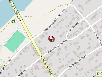 Carte de Garage Dany Pasquier à Muides-sur-loire