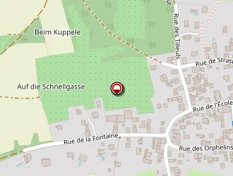 Carte de Jenny' Style à Steinbrunn-le-bas