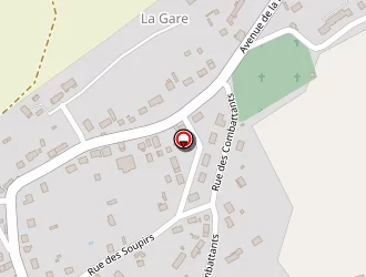 Carte de Eurorepar Sammip à Ouzouer-sur-trézée