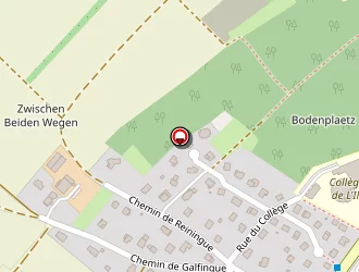 Carte de Schueller Olivier à Illfurth