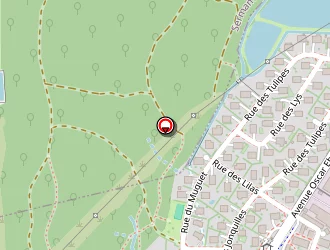 Carte de Sibille Guy à Valdoie