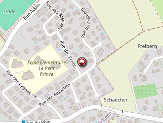 Carte de Ecole Primaire à Landser