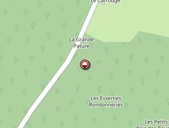 Carte de Buissonnière à Saint-fargeau