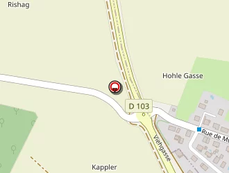 Carte de Volpi Jacques à Bernwiller