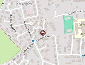 Carte de Centre Leclerc à Château-du-loir