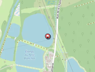 Carte de Labigand Thierry à Sermamagny