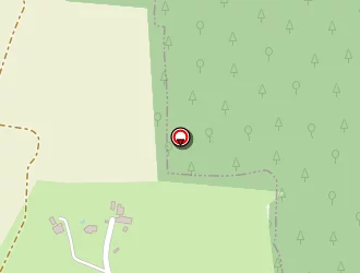 Carte de Jossic Romain à Treffléan