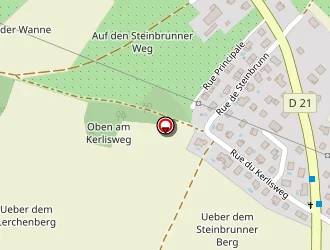 Carte de Fries Michel à Bruebach