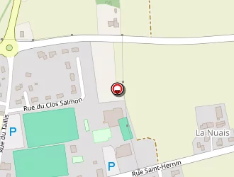 Carte de Mairie à Pluherlin