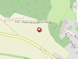 Carte de Mathiaut Pierre à Saint-broing-les-moines