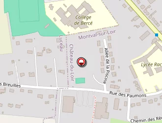 Carte de Rc Services à Château-du-loir