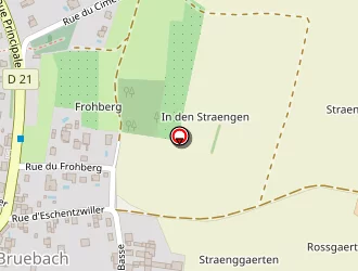 Carte de Gutfreund Maurice à Bruebach