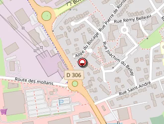 Carte de Bodereau Alain à Flèche (la)