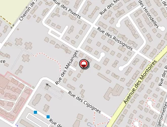 Carte de Cheron Manuelle à Gien