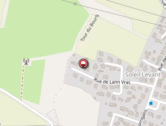 Carte de Chereau Michel à Plougoumelen