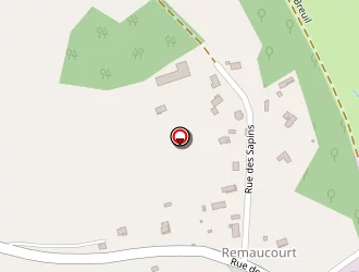 Carte de Perrin (sasu) à Port-sur-saône