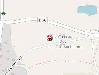 Carte de Coiffure Sophie à Chapelle-de-brain (la)