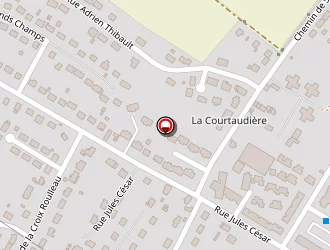 Carte de Ourson Laveur à Gien