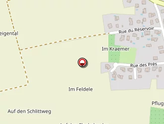 Carte de Belzung Jonas à Bruebach