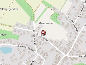 Carte de La Parenthèse à Hochstatt