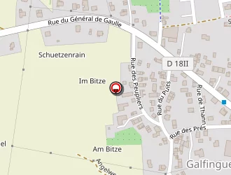 Carte de Frédéric Renaud à Galfingue