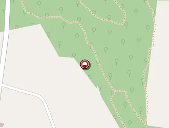 Carte de Adn Création à Chapelle-de-brain (la)