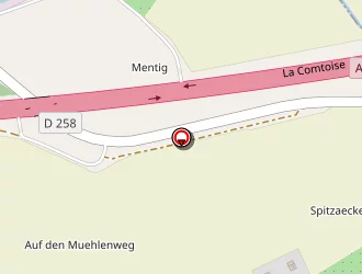 Carte de Antia Rauber à Diefmatten