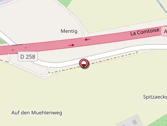 Carte de Paelle Aparicio à Diefmatten