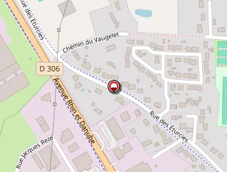 Carte de Unipersonnelle Capi à Flèche (la)