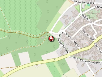 Carte de Caves Bienvenu (earl) à Irancy