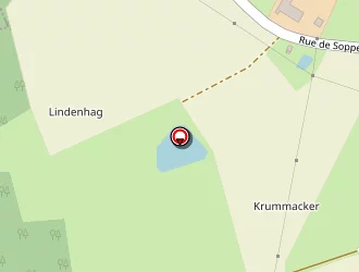 Carte de Goepfert Jean Claude à Soppe-le-bas