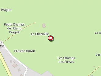 Carte de Tonnerre Yvon à Toucy