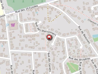 Carte de Stéphane Desmonts à Ferté-saint-aubin (la)