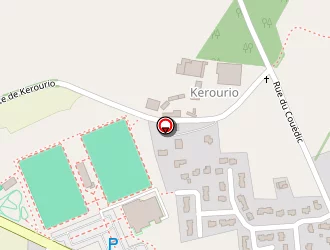 Carte de Léone Medium à Brech