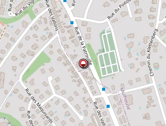 Carte de Fehrenbach Gilbert à Brunstatt