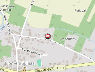 Carte de Vfr à Lion-en-sullias