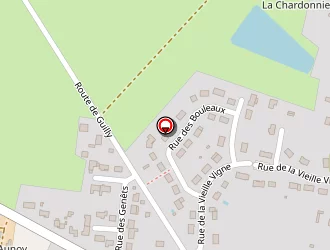 Carte de Loosvelt Bernard à Viglain