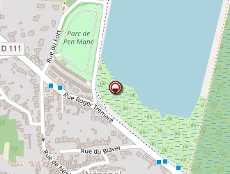 Carte de Frasca Carminé à Locmiquélic