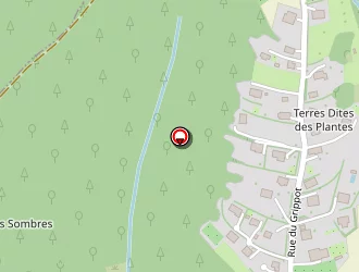 Carte de Prevot Chrystel à Grosmagny