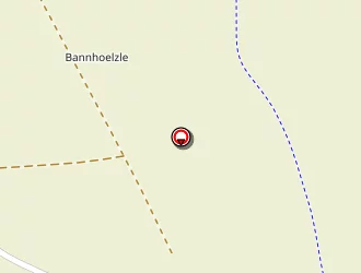 Carte de Gabriel Fabien à Petit-landau